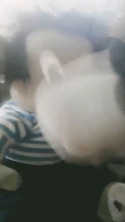 ААААА 13