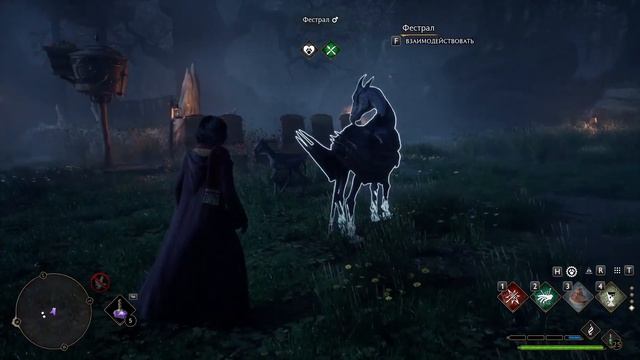 Hogwarts Legacy | Фестралы смотреть онлайн