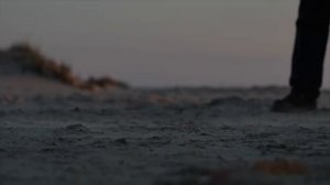 Остров Шокальского на Ямале