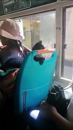 В маршрутке совершена дерзкая попытка ограбления