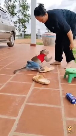 Обиделась🐒