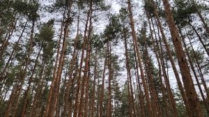 Новый руководитель в работе по найму в организации