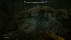 Заначка неизвестного на затоне на камнях S.T.A.L.K.E.R. 2: Heart