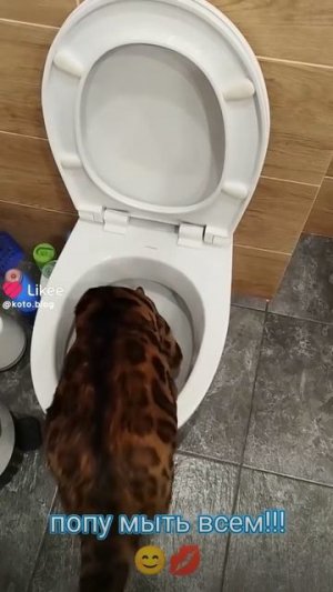 1000015432.mp4