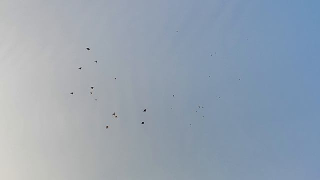 7.06.2025г Остались в Ночь в Небе!!! смотреть онлайн