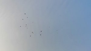 7.06.2025г Остались в Ночь в Небе!!!