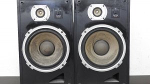 Акустика diatone DS-30B