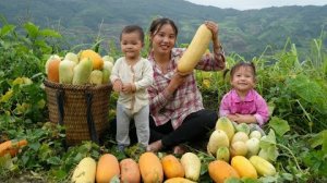 Мать и ее дети собирают гигантские дыни для продажи на рынке. Ухаживают за поросятами. Въетнам