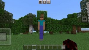 Long Legged Steve Creepypasta | Длинноногий Стив | Minecraft bedrock 1.20.15 | Fin D