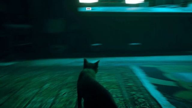 Прохождение Stray /2часть /Квартира смотреть онлайн