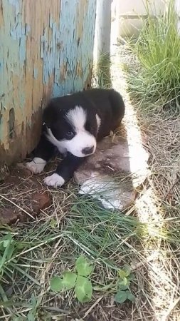 VID_20250607_101028.mp4