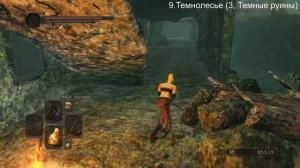 Dark Souls 2 & Dark Souls 2 SotFS Все ароматные ветви былого (All Fragrant B