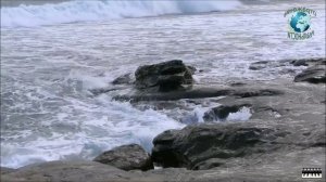 Волны моря и океана с музыкой стиля чиллаут для релаксации, отдыха Чилл Хаус