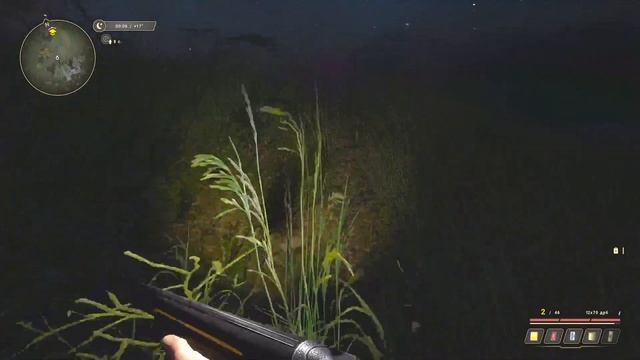 TRUE S.T.A.L.K.E.R.: Странные свечения #stalker #True Stalker смотреть онлайн