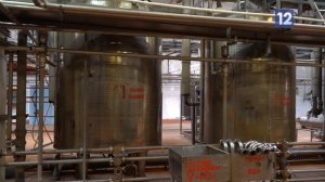 Познаем мир с Череповечкой: как делают молочные продукты