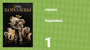 Королевы 1 серия «Африканские королевы» (документальный сериал, 2024)