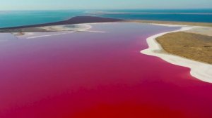 Розовое озеро в Торрьевьехе в Испании