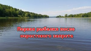 Первая рыбалка после нерестового запрета