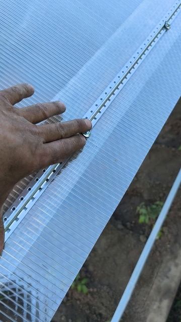 поликарбонат 4мм усиленный через маяки, крыша теплицы 12×4