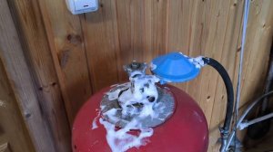 УТЕЧКА ГАЗА (в доме или на улице пахнет газом) - как най?