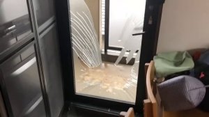 Самые Мощные Штормы, Снятые на Камеру