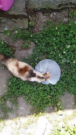 Обед по расписанию!
