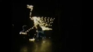 SKELETOSAUR SHOW 2017