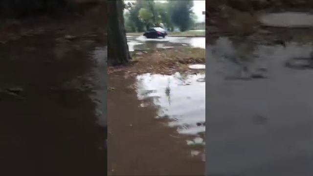 В Таганроге тоже, всё в воде. смотреть онлайн