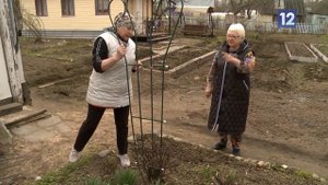 Дачные советы: работы на старте сезона