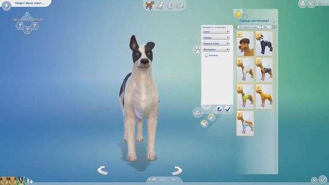 Обзор каталога The Sims 4 Мой Первый Питомец 1