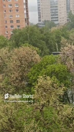 Неожиданный сильный дождь #психологонлайн #жизнь