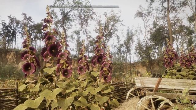 Оазис в S.T.A.L.K.E.R. 2: Heart of Chornobyl. Атмосфера смотреть онлайн