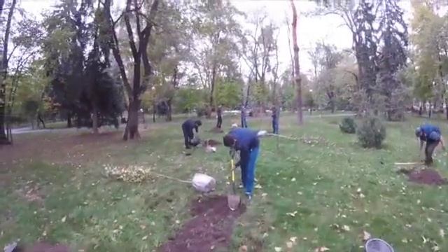 Ассоциация Финансистов Казахстана 01.10.2016 смотреть онлайн