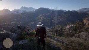 100% Прохождение Red Dead Redemption 2 Сцена на могиле Артура Мор?