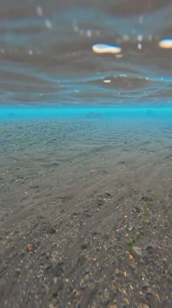 Мир под водой