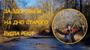 Старое русло (старица) излучины реки Киржач среди лесов из дубов, черной ольхи и цветущего орешника