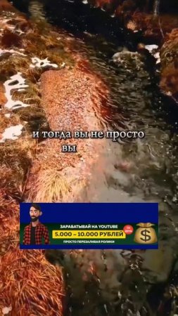 Чтобы жить как хочешь, надо