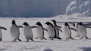 "Что? Где? Когда?" Зимняя Серия Игр Анонс 2023