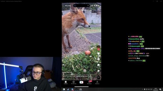 ДРЕЙК СМОТРИТ ТИКТОКИ смотреть онлайн