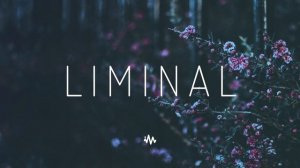 Liminal ｜ Atmospheric Future Garage & Chillstep Mix