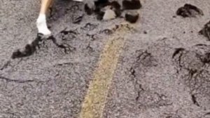 VID_20230817_210724_538.mp4