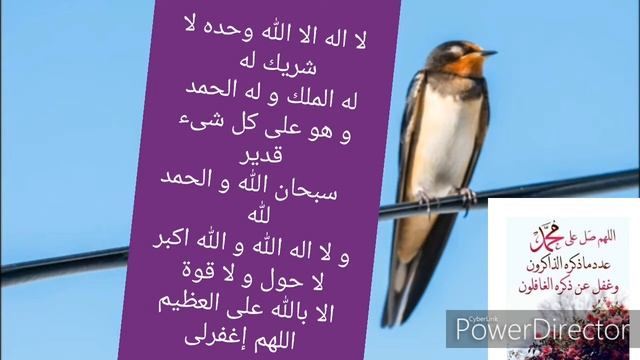 Kırlangıç sesi .hem duan hem namazin kabul .bildiğin zikirler.ласточка звук при? смотреть онлайн