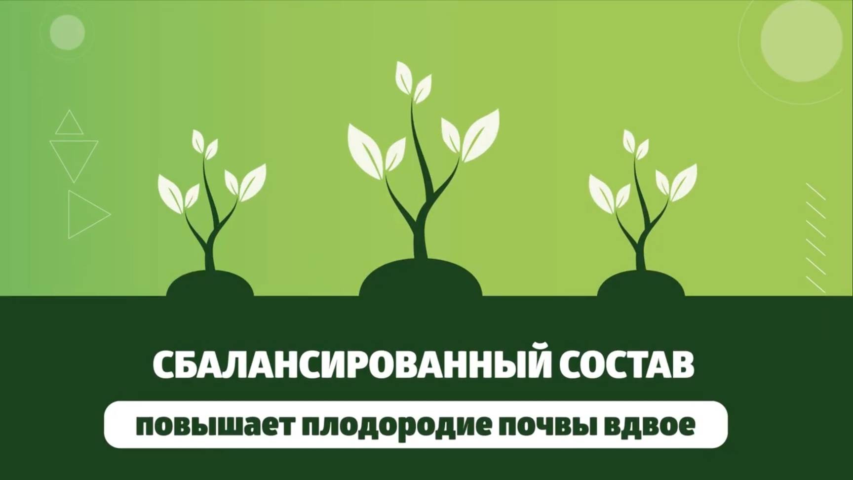 Сапропель