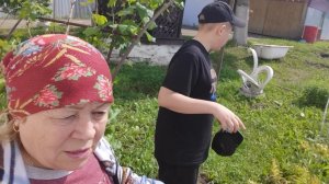 Жизнь в деревне 🏡  готовим удочки 🙋