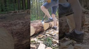 01.06.15 МИТИНО (ФЕДОР, ИННА, ОЛЬГА, АЛЕКСАНДР, АЛЕКСАНДР)