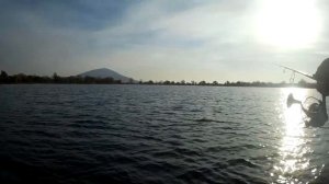 Твичинг. Ловля щуки на городском водоеме!