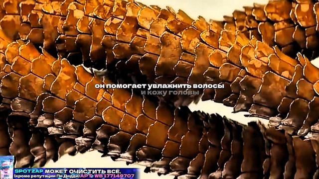 "НЕ МОГУ ПОВЕРИТЬ, ЧТО МОИ ВОЛОСЫ ТЕПЕРЬ ВЫГЛЯДЯТ ТАК"