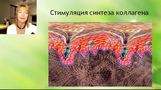 Елена Бахтина Вебинар “Инвазивные методы омоложения?