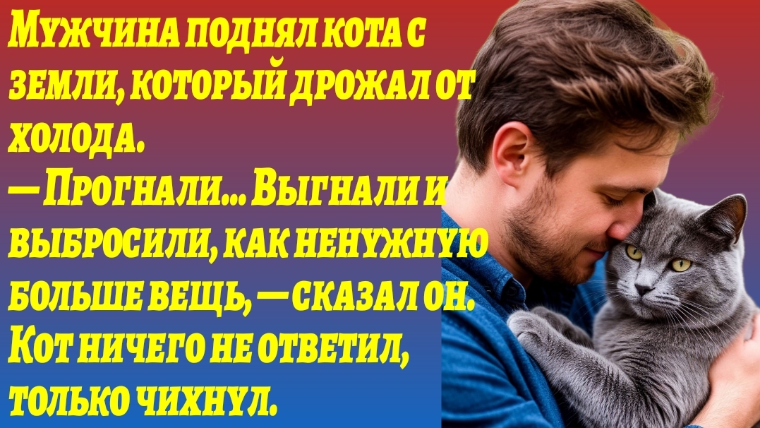 Истории из Жизни/Любимый Кот хозяина внезапно умер во сне, но вернулся/Жизненные Рассказы