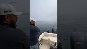 Максиму (youtube канал Good Fishing), спасибо за отчёт 🤝